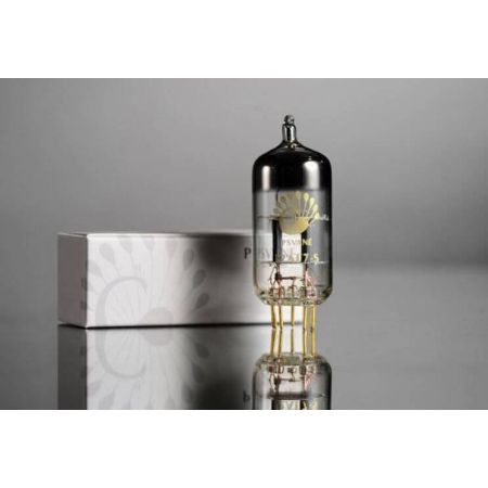 PSVANE 12AT7-S (ECC81)