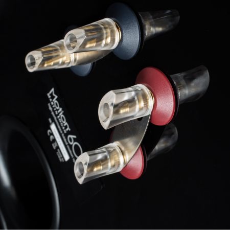 Martin Logan Motion 60XT