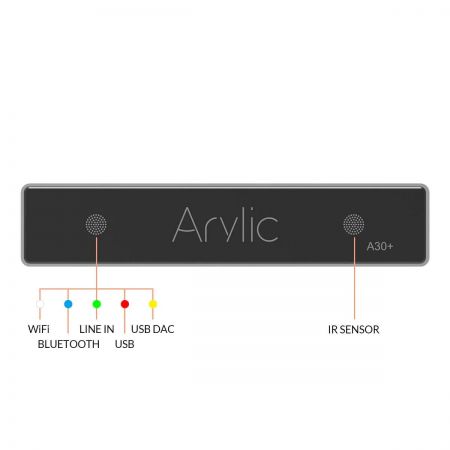 Arylic A30 +