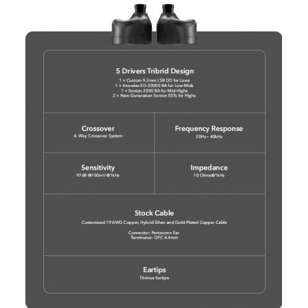 Elysian Acoustic Apostle