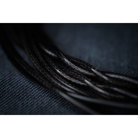 Nightjar Acoustics Singularity