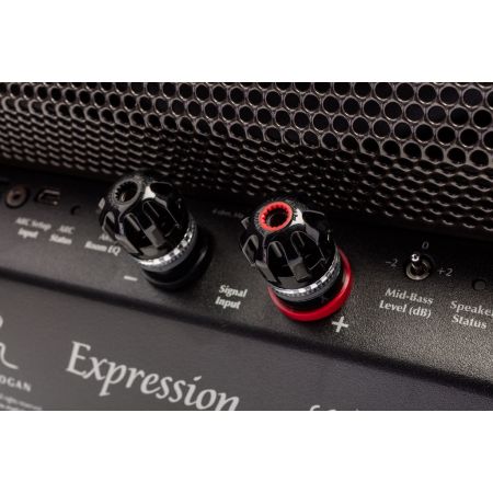 Martin Logan Expression ESL 13A 