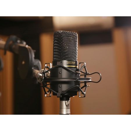 Topping Professional CL 101 MP