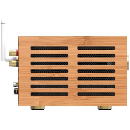 iFi Audio Retro Stereo 50