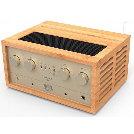 iFi Audio Retro Stereo 50