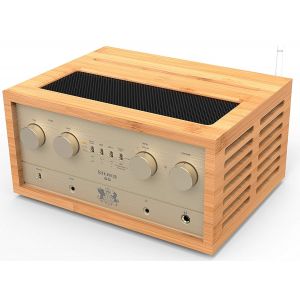 iFi Audio Retro Stereo 50