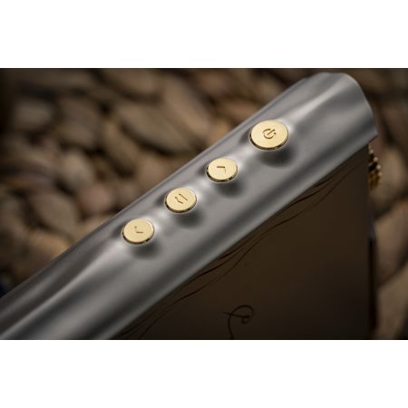 Cayin N30LE Amber Pearl