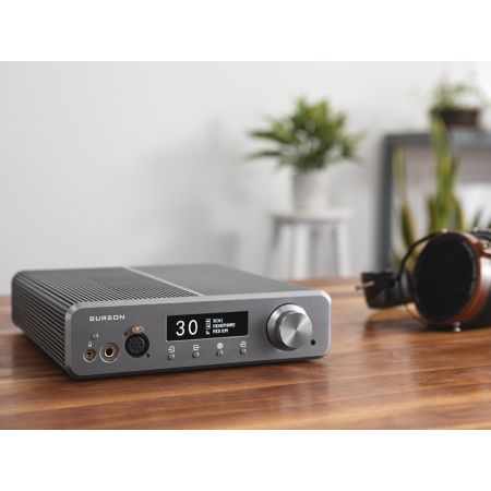 Burson Audio Soloist 3X Grand Tourer