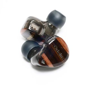 Oriolus Percivali JP