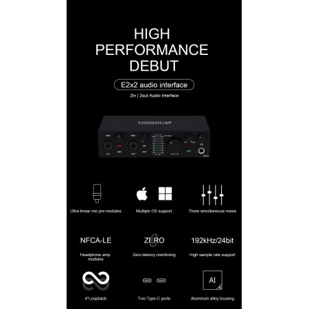 Topping Professional E2x2