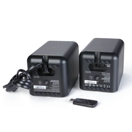 Klipsch Flexus Surr 100