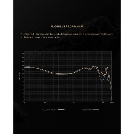 Effect Audio x Elysian Acoustic PILGRIM Noir