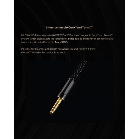 Effect Audio x Elysian Acoustic PILGRIM Noir