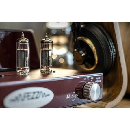 Fezz Audio Amplifier Omega Lupi