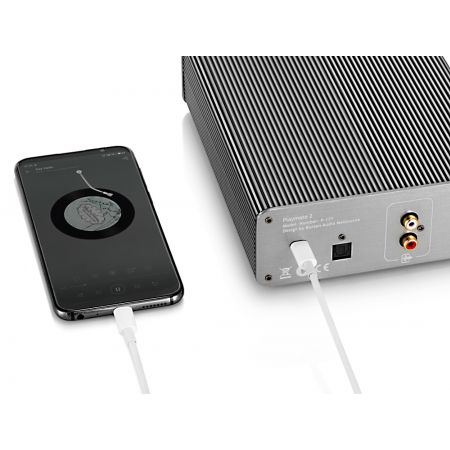 Burson Audio Playmate 2