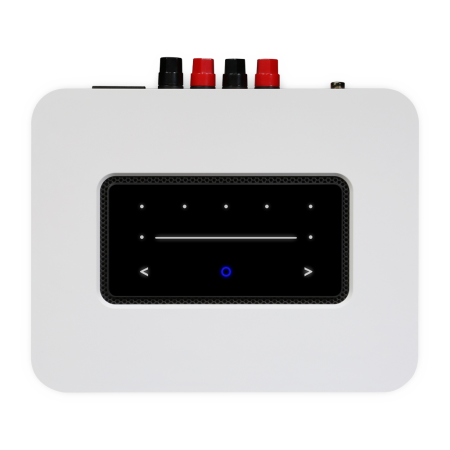 Bluesound PowerNode N330