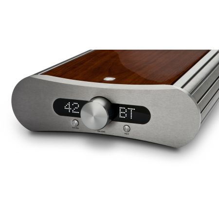 Gato Audio DIA-250S