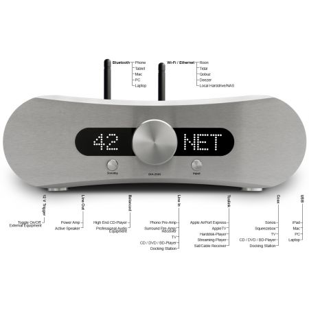 Gato Audio DIA-250S NPM