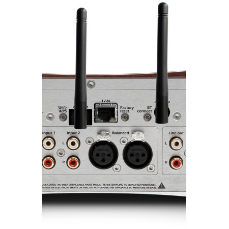 Gato Audio DIA-250S NPM