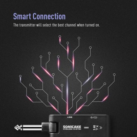Sonicake 2.4G Wireless System QWS-10