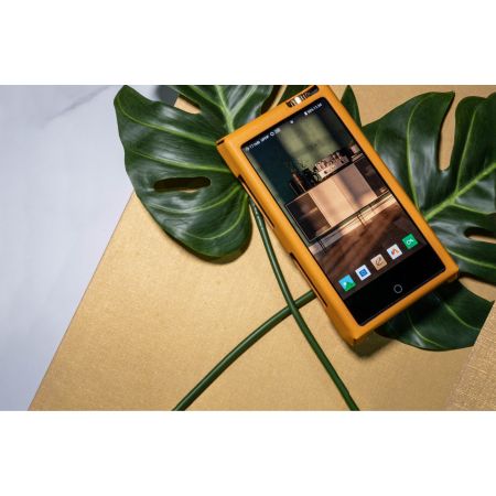 Чехол для Cayin N8 II