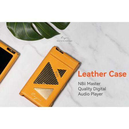 Чехол для Cayin N8 II