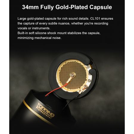 Topping Professional CL 101 MP