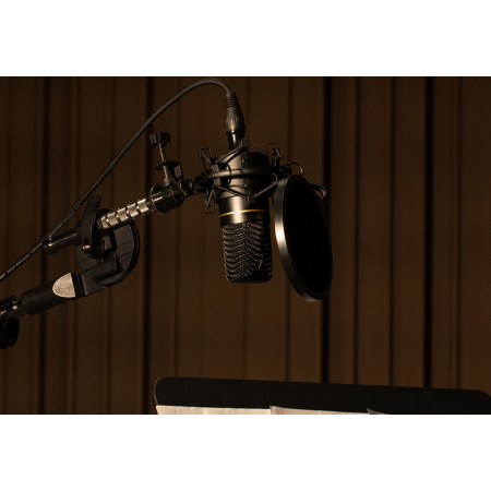 Topping Professional CL 101